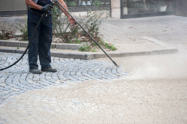 Pre-Holiday Cleaning in Winter Gardens, CA
